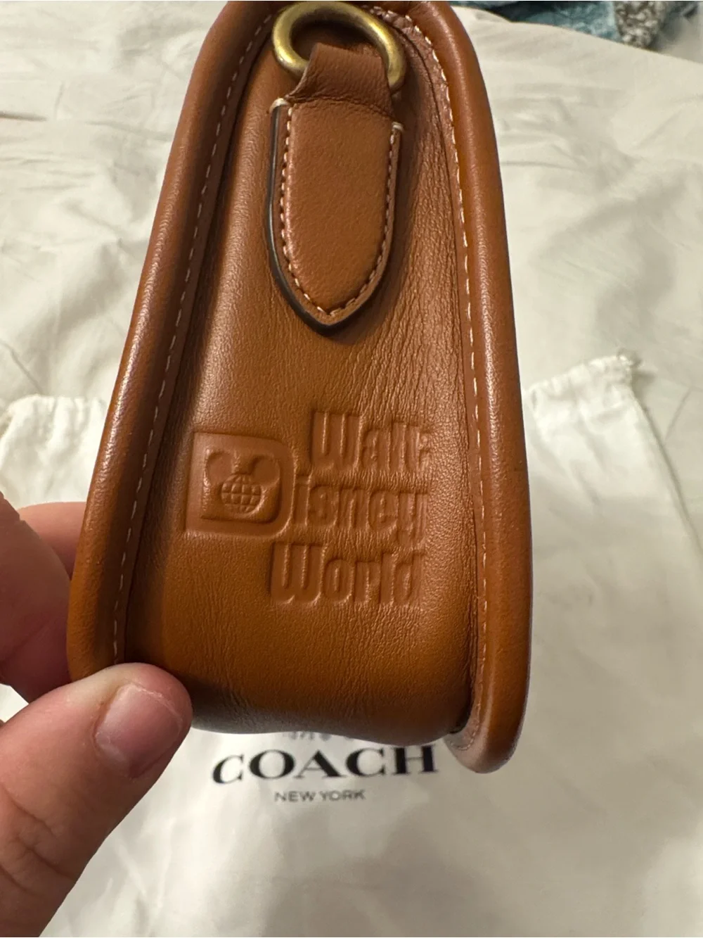 Disney x Coach 50th anniversary crossbody